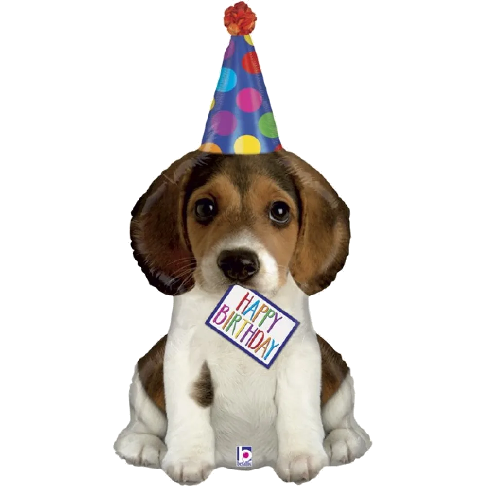 Шар: Шар (37''/94 см) Фигура, Щенок в колпачке, собака 1 шт. в уп. Betallic (Италия)